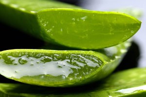 Why You Should Use Aloe Vera Gel as a Natural Moisturiser