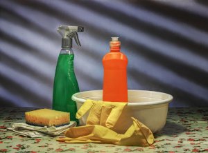 Keep Your Home Clean and Safe with Probiotic Household Cleaners